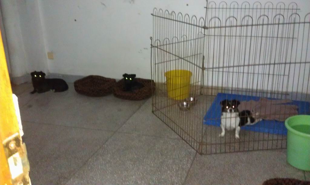 IMAG0484.jpg